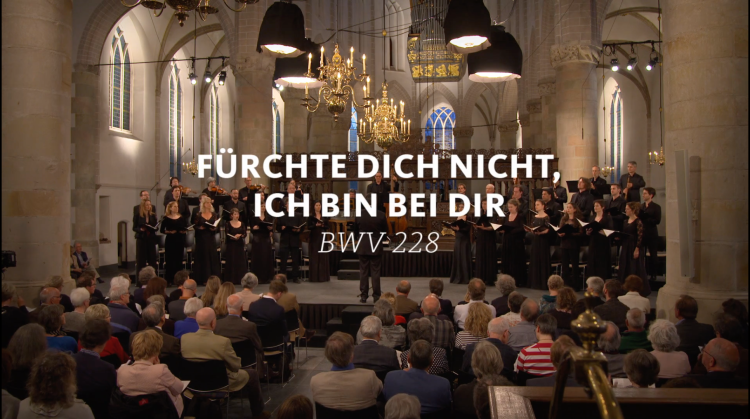 all-of-bach-bwv-228